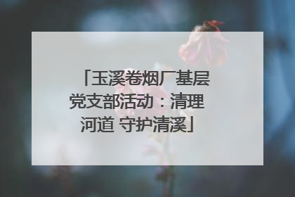 玉溪卷烟厂基层党支部活动：清理河道 守护清溪