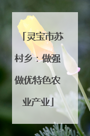 灵宝市苏村乡：做强做优特色农业产业