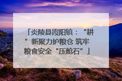 炎陵县霞阳镇：“耕”新聚力护粮仓 筑牢粮食安全“压舱石”