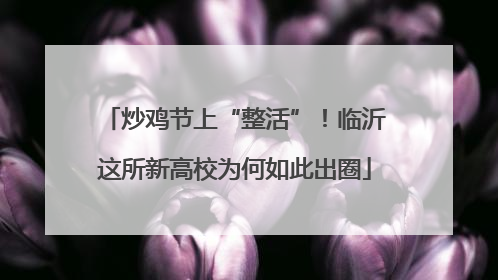 炒鸡节上“整活”！临沂这所新高校为何如此出圈