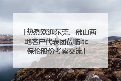 热烈欢迎东莞、佛山两地客户代表团莅临itc保伦股份考察交流