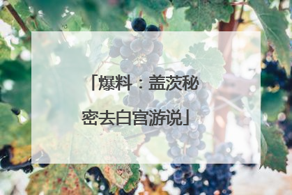 爆料：盖茨秘密去白宫游说