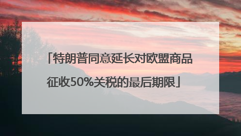 特朗普同意延长对欧盟商品征收50%关税的最后期限
