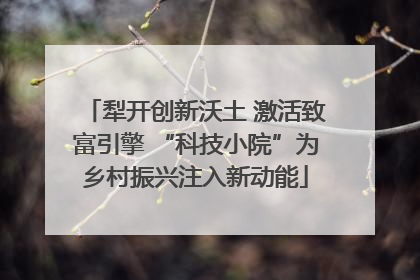 犁开创新沃土 激活致富引擎 “科技小院”为乡村振兴注入新动能