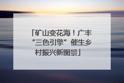 矿山变花海！广丰“三色引擎”催生乡村振兴新图景