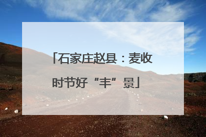石家庄赵县：麦收时节好“丰”景