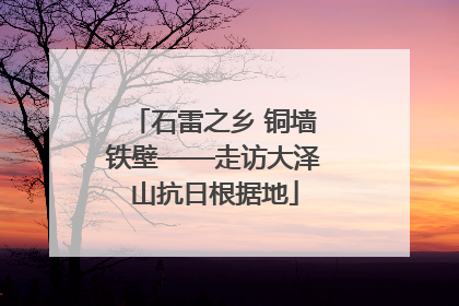 石雷之乡 铜墙铁壁——走访大泽山抗日根据地