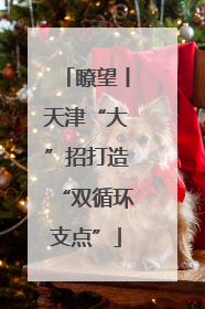 瞭望丨天津“大”招打造“双循环支点”
