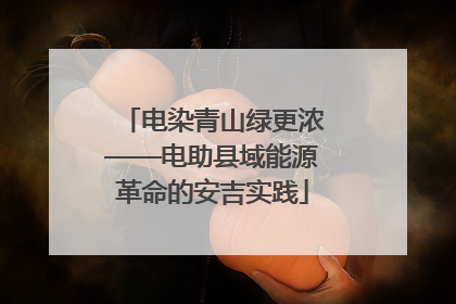 电染青山绿更浓——电助县域能源革命的安吉实践