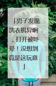 男子发现洗衣机异响，打开被吓晕！没想到竟是这玩意