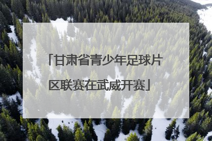 甘肃省青少年足球片区联赛在武威开赛