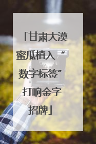 甘肃大漠蜜瓜植入“数字标签” 打响金字招牌