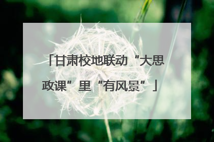 甘肃校地联动“大思政课”里“有风景”