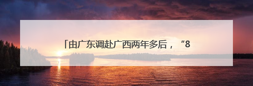 由广东调赴广西两年多后，“85后”张东方当选苍梧县县长