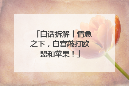 白话拆解丨情急之下，白宫敲打欧盟和苹果！
