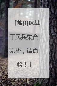 盐田区基干民兵集合完毕，请点验！