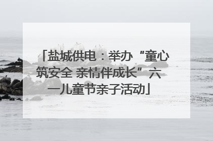 盐城供电：举办“童心筑安全 亲情伴成长”六一儿童节亲子活动