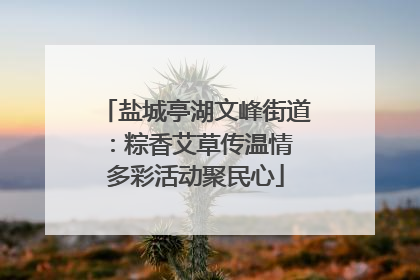 盐城亭湖文峰街道：粽香艾草传温情 多彩活动聚民心