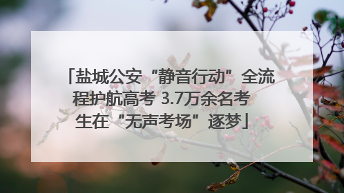 盐城公安“静音行动”全流程护航高考 3.7万余名考生在“无声考场”逐梦