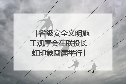省级安全文明施工观摩会在联投长虹印象圆满举行