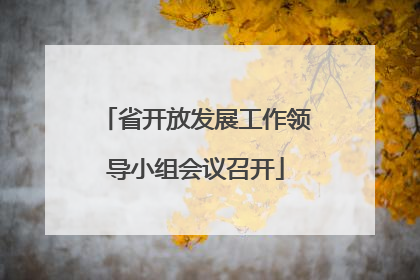 省开放发展工作领导小组会议召开