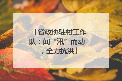 省政协驻村工作队：闻“汛”而动，全力抗洪