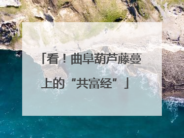 看！曲阜葫芦藤蔓上的“共富经”