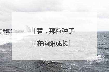 看，那粒种子正在向阳成长