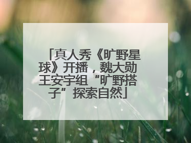 真人秀《旷野星球》开播，魏大勋王安宇组“旷野搭子”探索自然