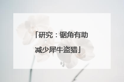 研究：锯角有助减少犀牛盗猎