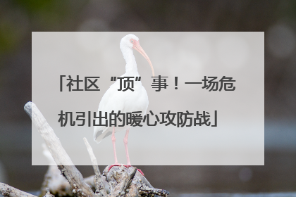 社区“顶”事！一场危机引出的暖心攻防战