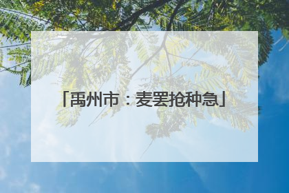 禹州市：麦罢抢种急