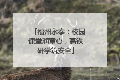 福州永泰：校园课堂润童心，高铁研学筑安全
