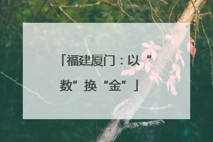 福建厦门：以“数”换“金”