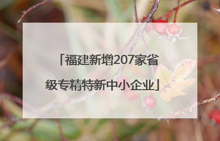 福建新增207家省级专精特新中小企业