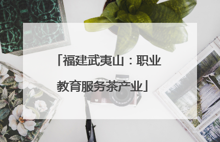福建武夷山：职业教育服务茶产业