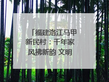 福建洛江马甲新民村：千年家风拂新韵 文明之花绽乡野