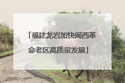 福建龙岩加快闽西革命老区高质量发展