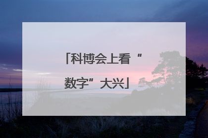 科博会上看“数字”大兴