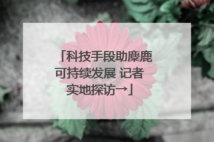 科技手段助麋鹿可持续发展 记者实地探访→