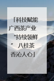 科技赋能广西茶产业“持续领鲜” 八桂茶香沁人心