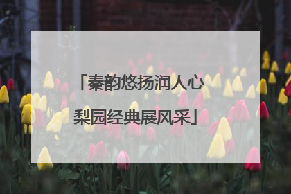 秦韵悠扬润人心 梨园经典展风采