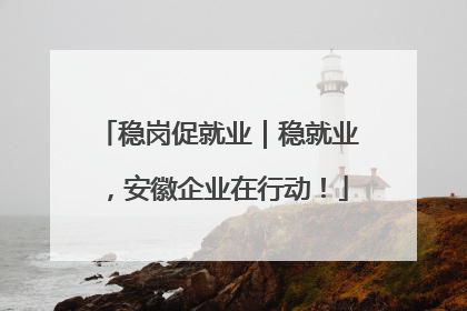 稳岗促就业｜稳就业，安徽企业在行动！