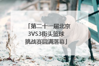第二十一届北京3VS3街头篮球挑战赛圆满落幕