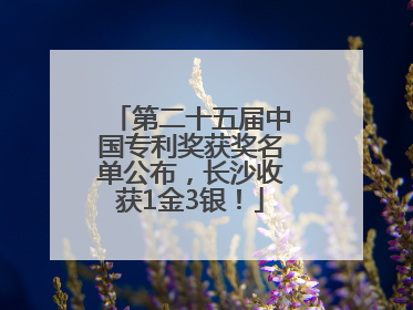 第二十五届中国专利奖获奖名单公布，长沙收获1金3银！