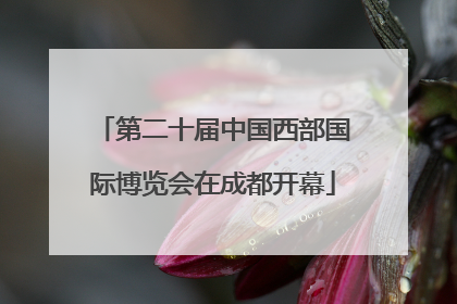 第二十届中国西部国际博览会在成都开幕