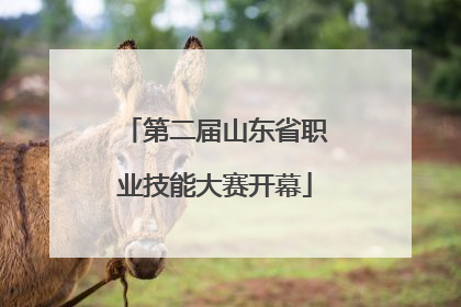 第二届山东省职业技能大赛开幕