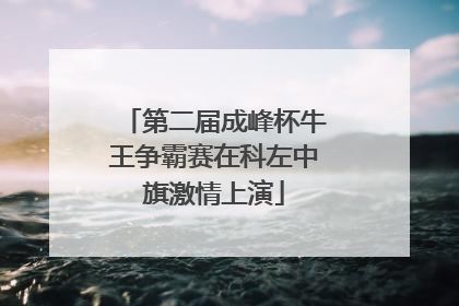 第二届成峰杯牛王争霸赛在科左中旗激情上演