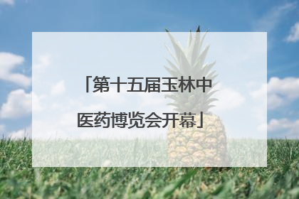 第十五届玉林中医药博览会开幕
