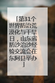 第31个世界防治荒漠化与干旱日，山东省防沙治沙经验交流会在东阿县举办